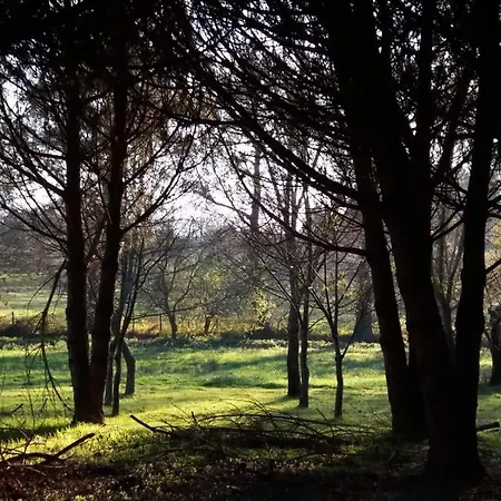 Country house Quinta Do Formil - Serra Da Estrela