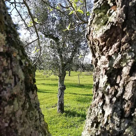 Quinta Do Formil - Serra Da Estrela